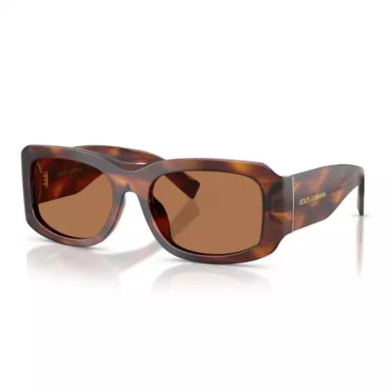Dolce & Gabbana DG4503 306373