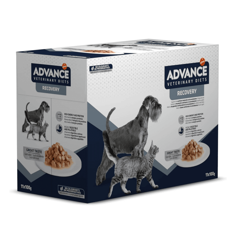 Ração Húmida Advance VET Recovery 11 x 100g