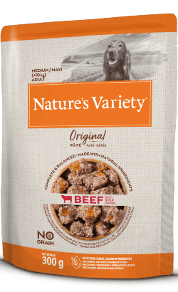 Ração Húmida Nature's Variety Original No Grain Medium/Maxi Paté Beef 300g