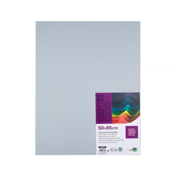 LiderPapel Cartolina 50X65CM 180g Cinza 25 Un.