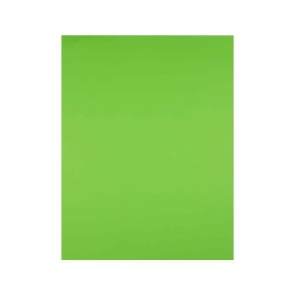 LiderPapel Cartolina 50X65CM 240g Verde Erva