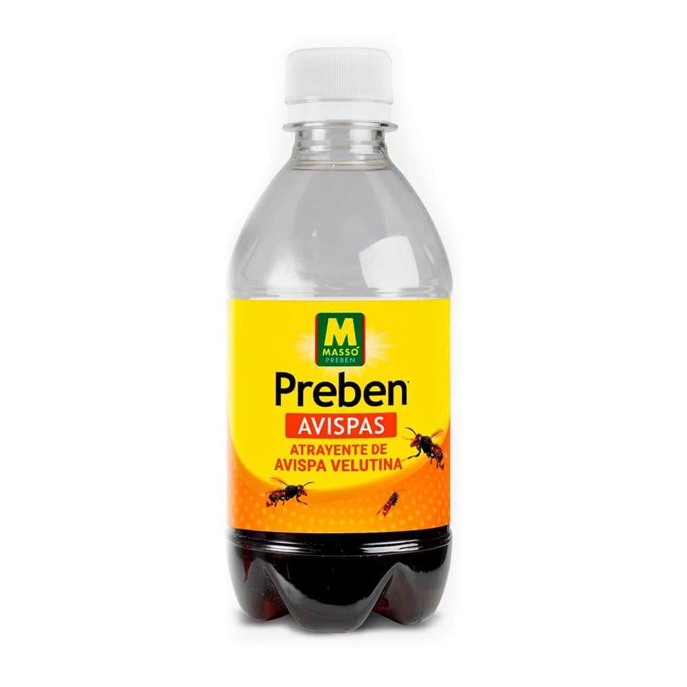 Masso Atraente Velutina Wasp. - 881022892