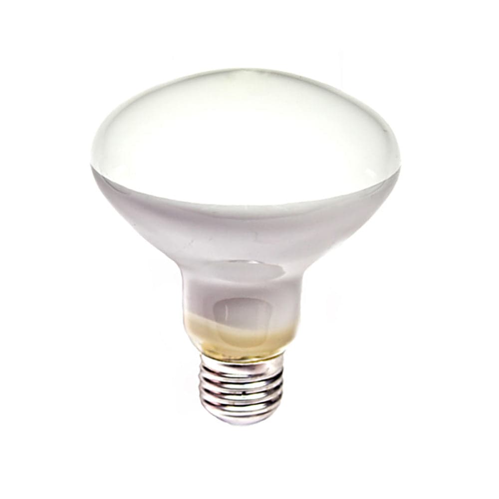 LÂMPADA INCANDESCENTE REFLETOR R90 E-27 60W