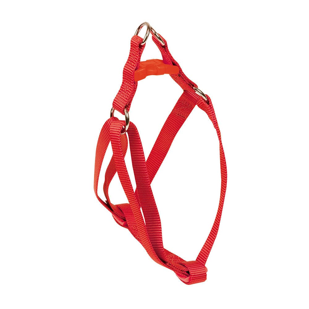 Nayeco Coleira Cão Nylon Basic Red XL