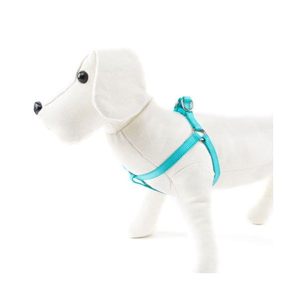 Nayeco Coleira Cão Nylon Linha Basic Agua-marinha M
