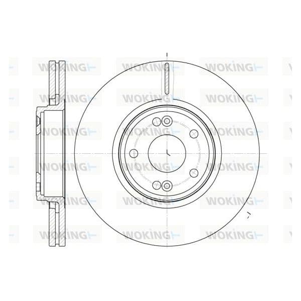 WOKING Disco de Travão - D6612.10