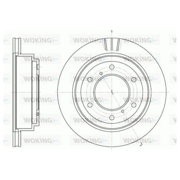 Woking Disco de Travão - D6955.10