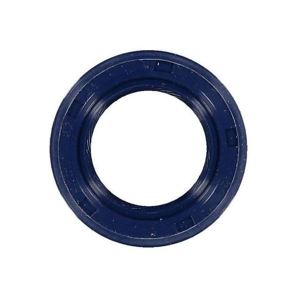 Glaser Reten Motor (turismos) - P77600-01