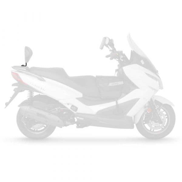 Shad Backrest Kymco Grand Dink 125/300 Abs