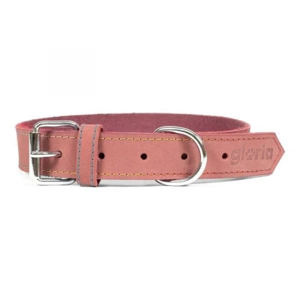 Gloria Pets Coleira Oasis Cor de Rosa (55 x 2,5 cm)