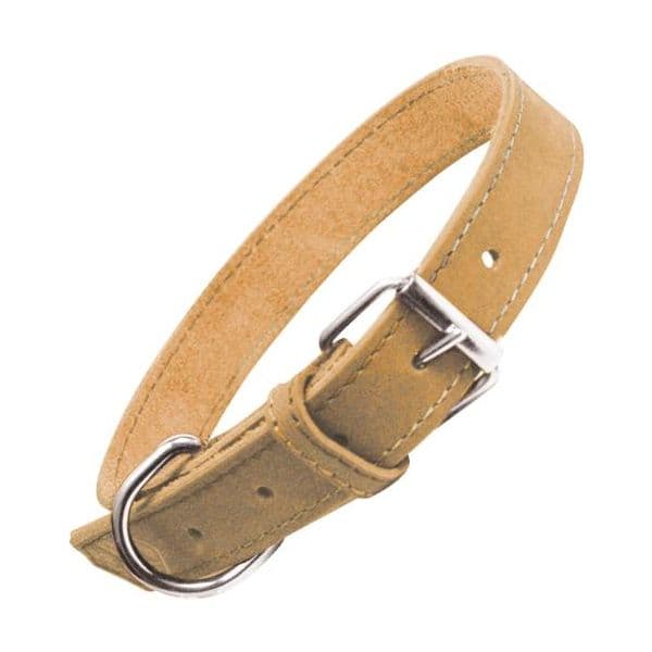 Gloria Pets Coleira Oasis Amarelo (1.5 x 40 cm)
