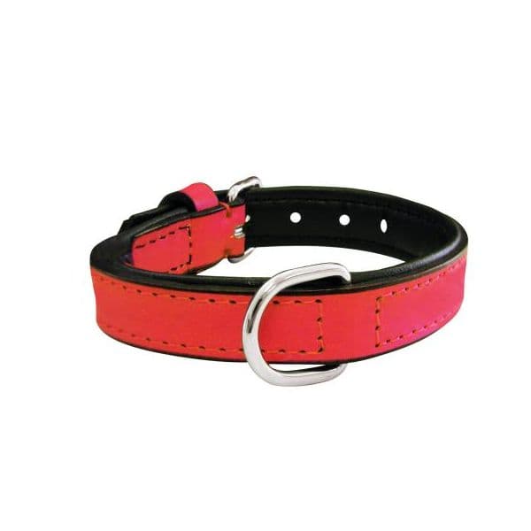 Gloria Pets Coleira Acolchoado Laranja (30 x 1,5 cm)