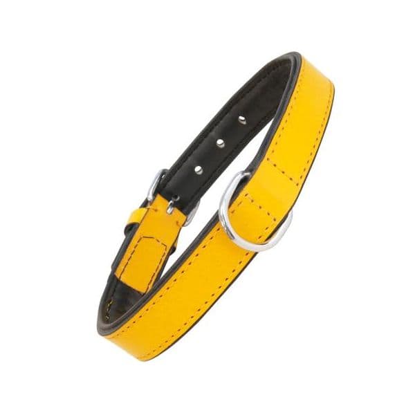 Gloria Pets Coleira Acolchoado Amarelo (35 x 1,5 cm)