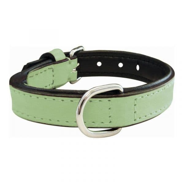 Hs Sprenger Coleira Acolchoado Verde (40 x 2 cm)