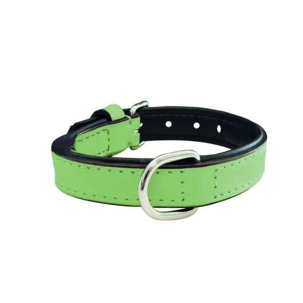 Gloria Pets Coleira Acolchoado Verde (50 x 2,5 cm)