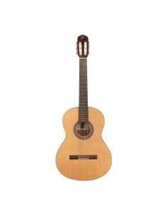 Jose torres JTC-20S