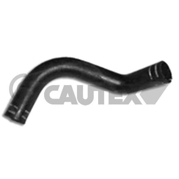 Cautex Tubo Flexível do Radiador - 016396