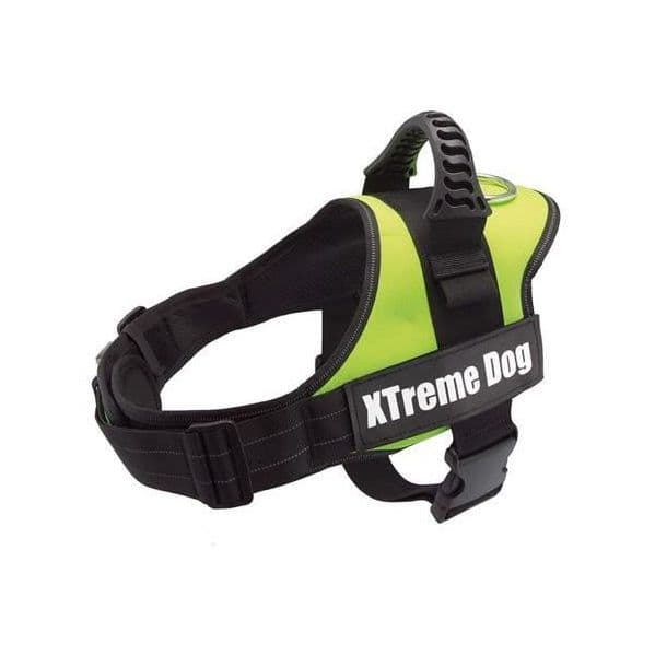 Arquivet Peitoral Xtreme Dog Verde Neon L