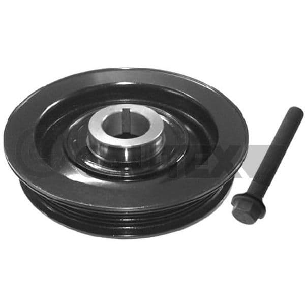 CAUTEX Kit da Polia da Correia da Cambota - 752336