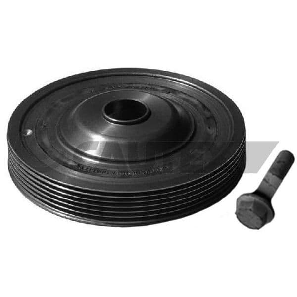 CAUTEX Kit da Polia da Correia da Cambota - 752344