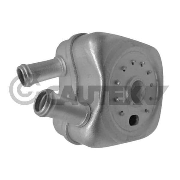 Cautex Radiador de Óleo, Óleo do Motor - 462435