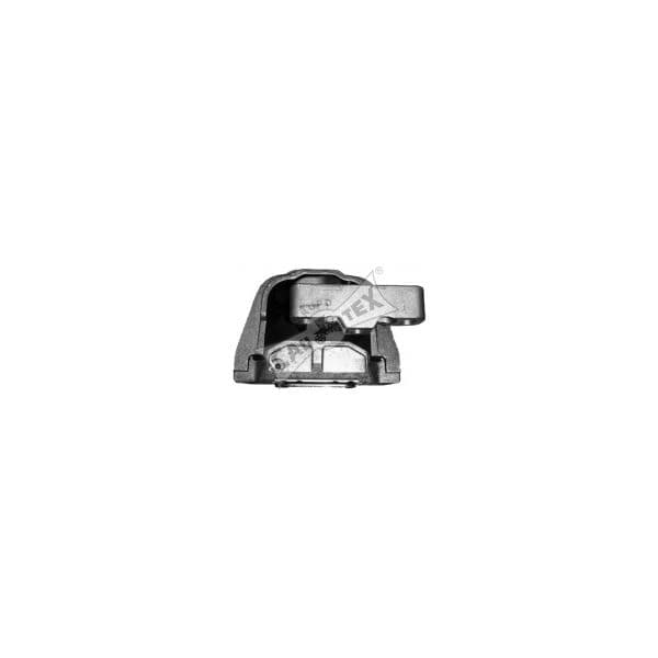 Cautex Suporte, Motor 462476