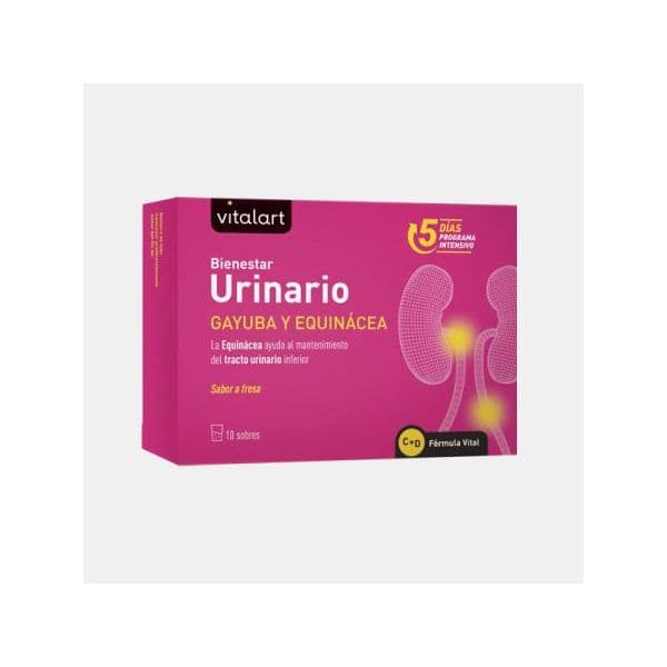Vitalart Bem Estar Urinário 10 Saquetas