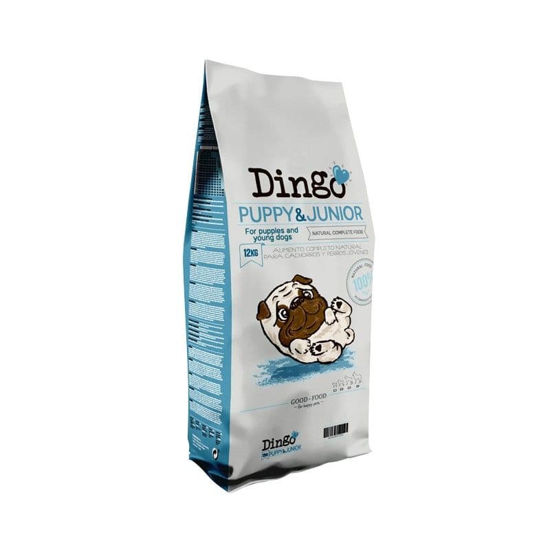Dingo Puppy & Junior