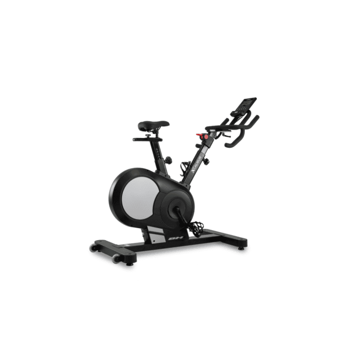 BH Fitness - Bicicleta Xcalibur Silver