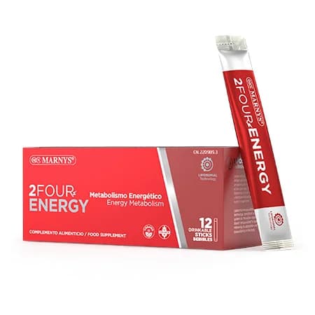 2Four Energy 12 Stick Marnys