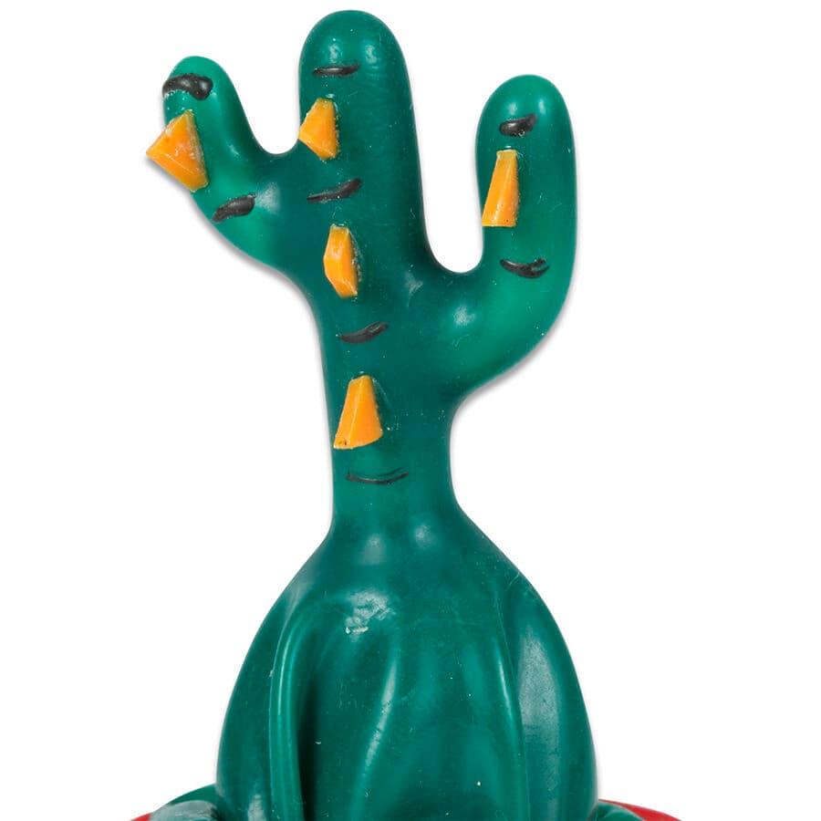 Condomerie Preservativos Novidades Pintados à Mão Cactus Colados D-243135