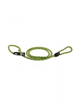 Kiwi Walker - Trela e Coleira para cão - Verde