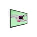 Monitor Philips E Line 65" 4K Ultra HD LED Wi-Fi Android