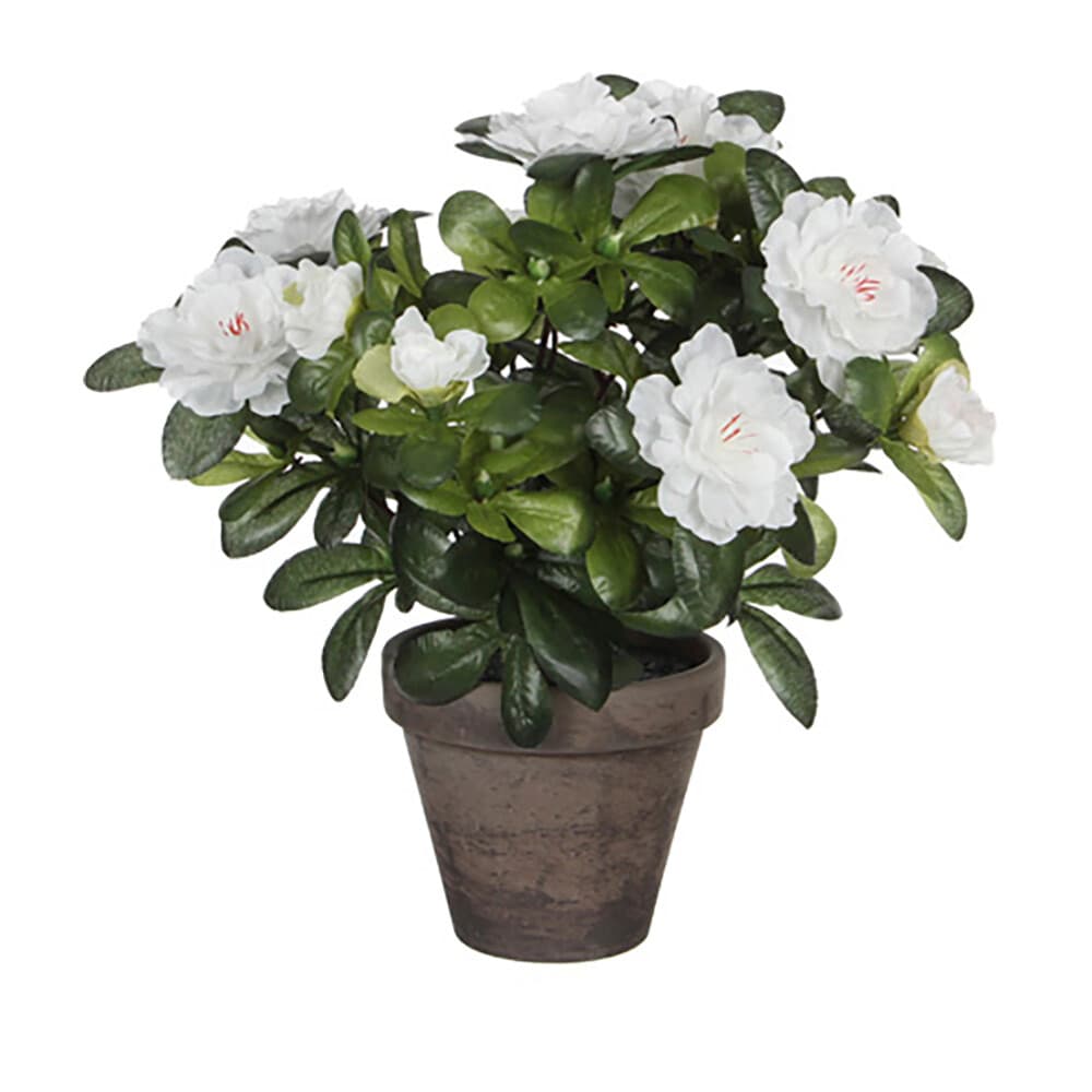 Mica Azaléia Artificial Branca em Vaso Cinzento ø11,5cmx27xø20cm