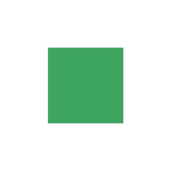Linkstar Papel 2,72x11m Verde Chroma 46 Fundo