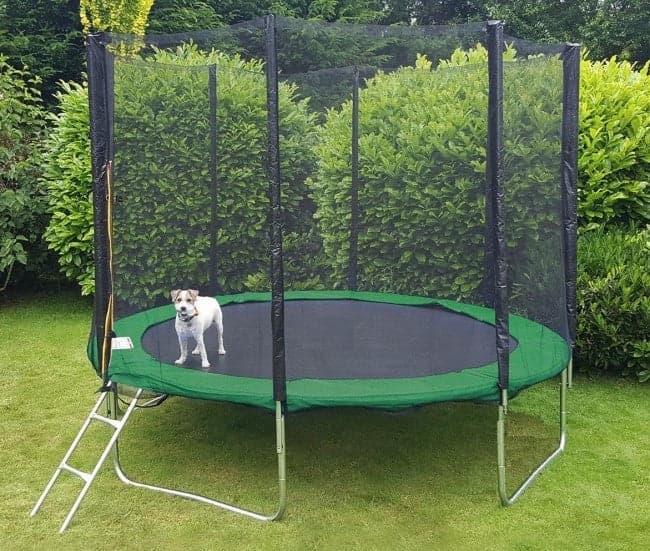 Trampolim Ø366 cm com rede e escada até 150 kg verde