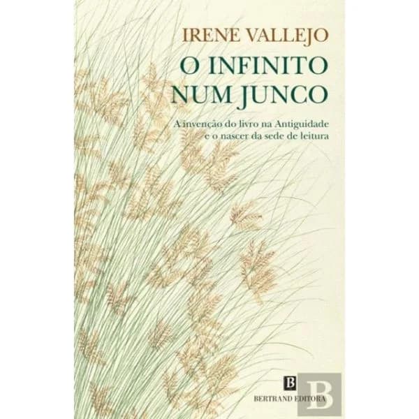 O Infinito num Junco