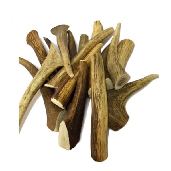 Highland Dog Chews Antler de Veado Xs