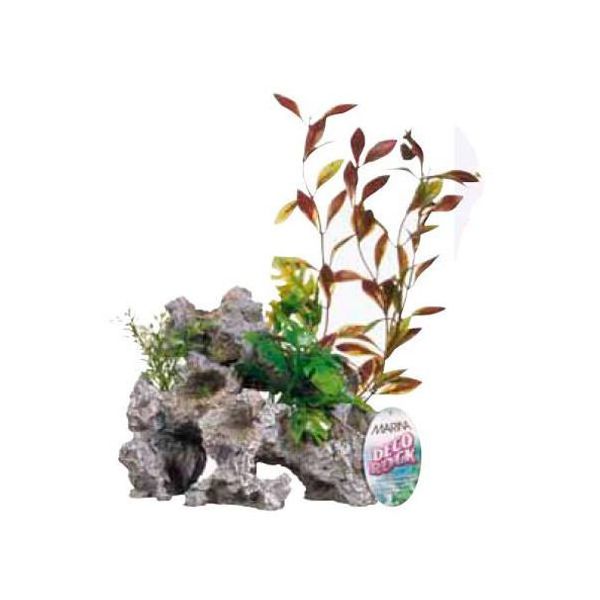 Marina Rocha Plantas Decorativas Grande