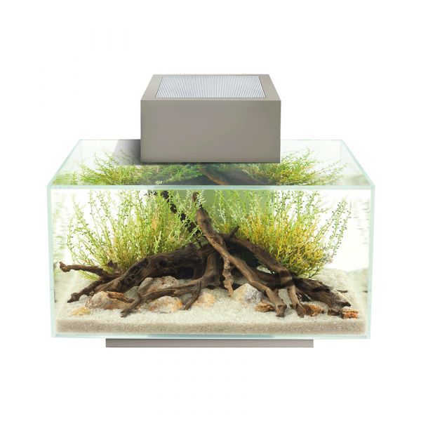 Fluval Aquário Edge 2.0 Branco 23L