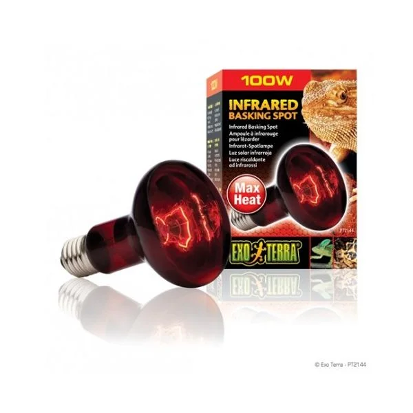 Exo Terra Lâmpada Infrared Basking Spot 100W - PT2144