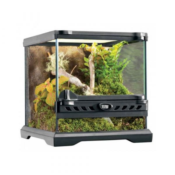 Exo Terra Terrário Réptil 10.5l 20x20x20cm