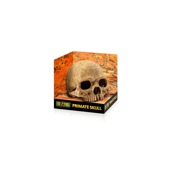 Exo Terra Refúgio Primate Skull - PT2855
