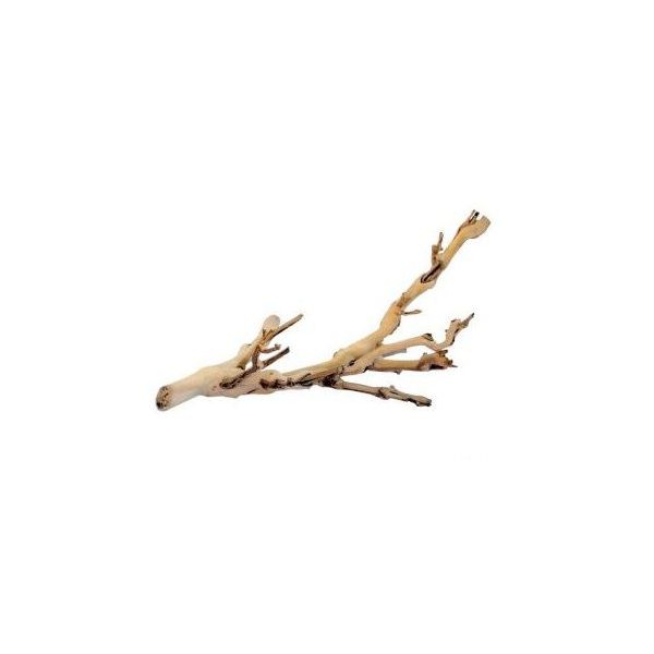 Exo Terra Ramos Naturais Forest Branch 45cm