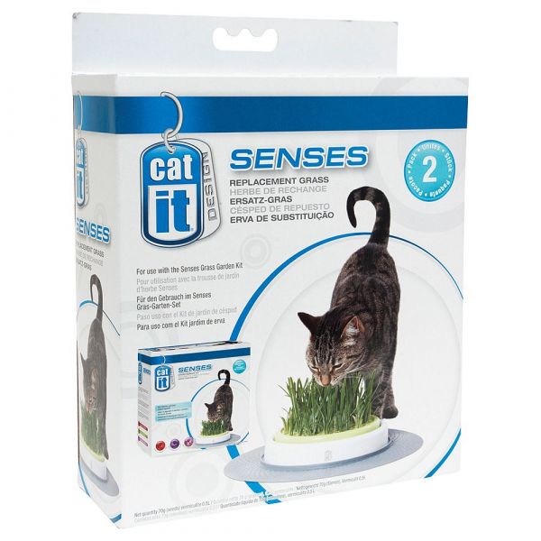 Catit Reposição Senses Kit Erva Gateira