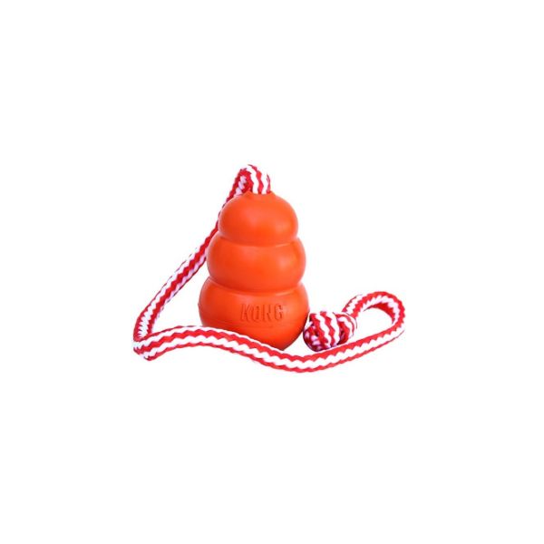 Kong Brinquedo Cão Aqua L 13-30Kg