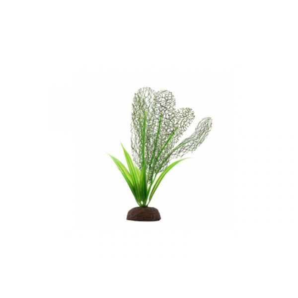 Fluval Planta Aqualife Madagascar 12,5 cm
