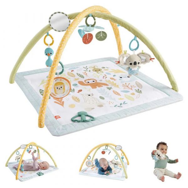 Fisher-Price Ginásio Simply Senses Sensimals