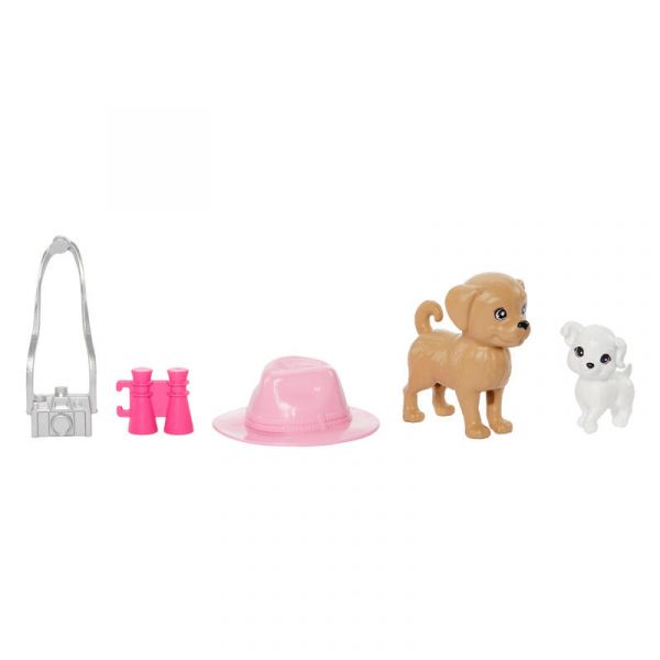Barbie Stacie To The Rescue Pack 2 Sisters Rosa