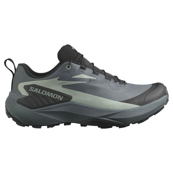 Salomon Sapatilhas de Trail Running Genesis Goretex Turbulence / Black / Green Milieu 44